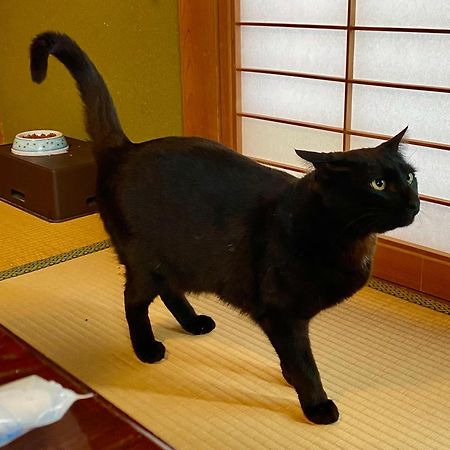 古民家ゲストハウス大ちゃん家 ชิมันโตะ ภายนอก รูปภาพ
